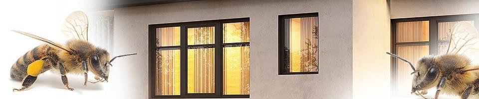 Was Hilft Gegen Bienen Im Fensterrahmen Bienen und Wespen im Fensterrahmen » Ursachen & Abhilfe