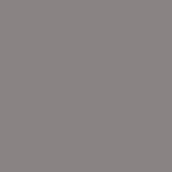 Graualuminium RAL 9007 (matt)