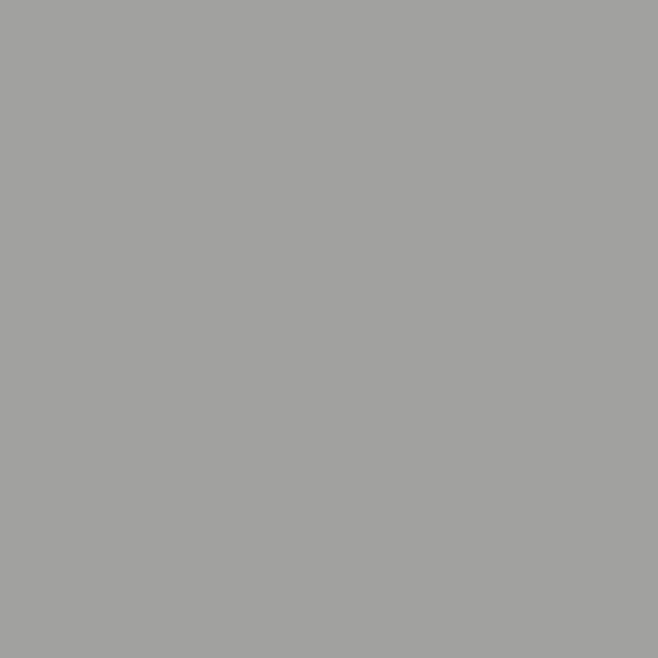 Weißaluminium RAL 9006 (matt)