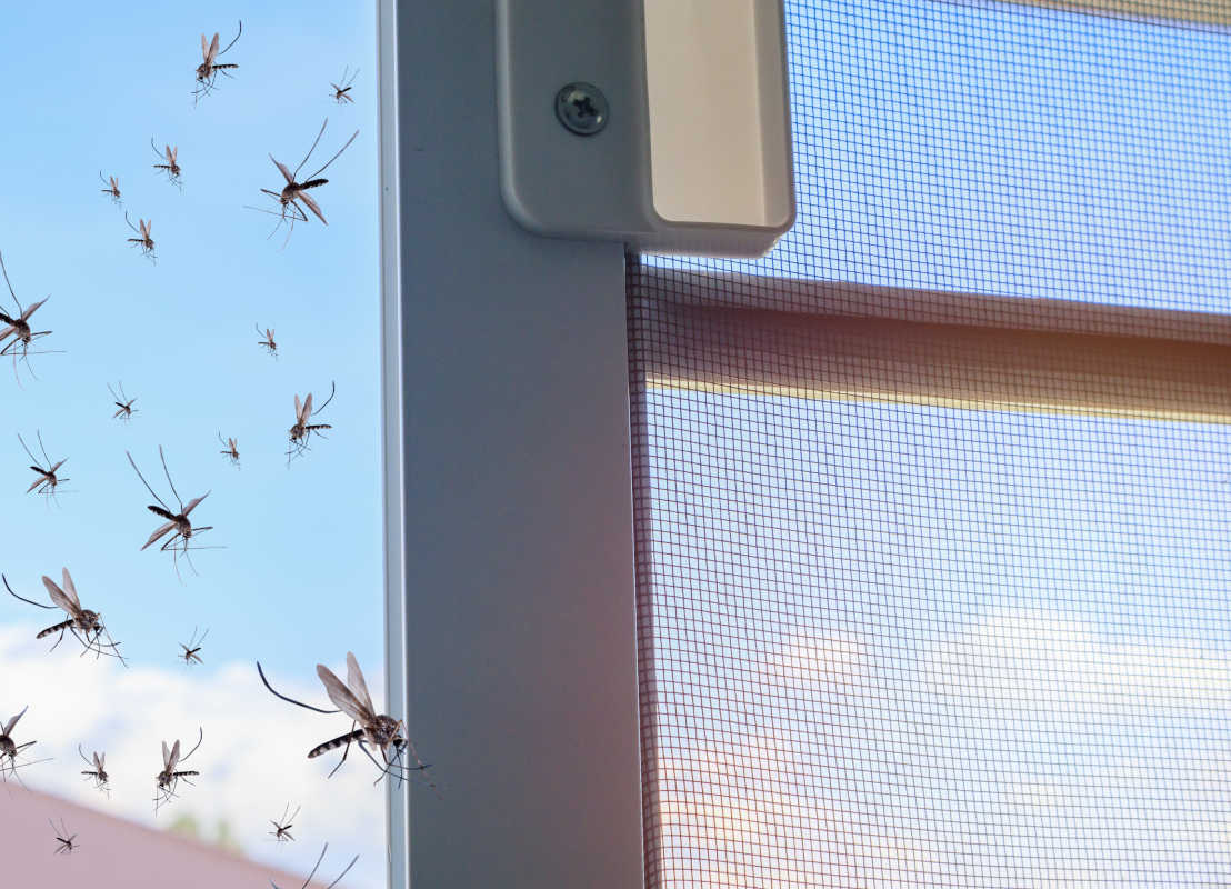 Insektenschutz-Schiebetür für Balkon und Terrasse