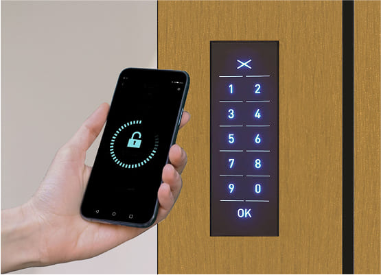 Smart Door Holz