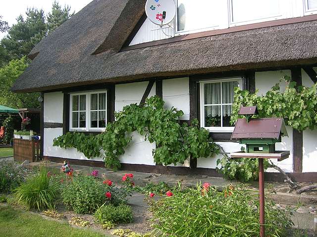 Holzfenster Erfahrungen