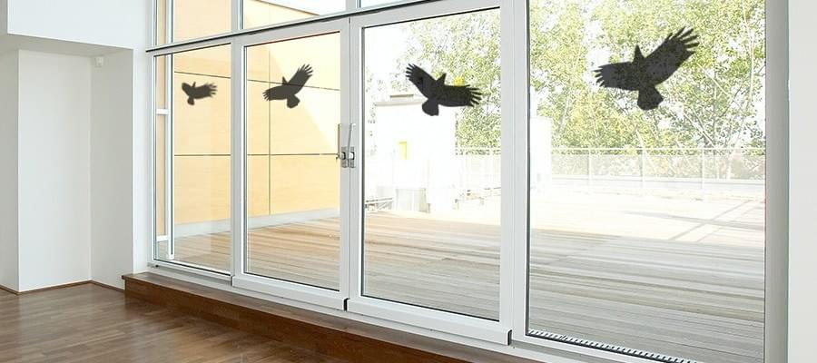 Vogel Gegen Fenster