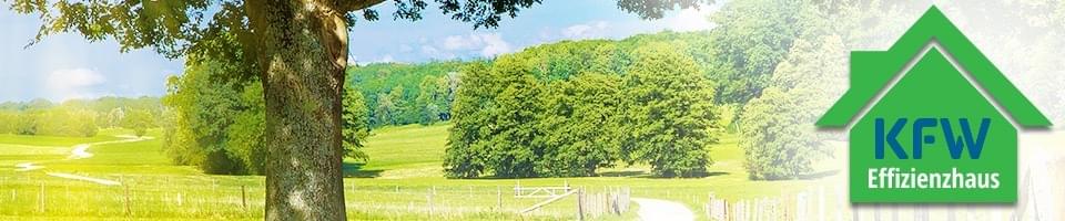 Kfw Effizienzhaus 100 Sanieren Mit Zuschuss Forderung