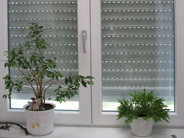 Kunststofffenster Aschaffenburg Innenansicht